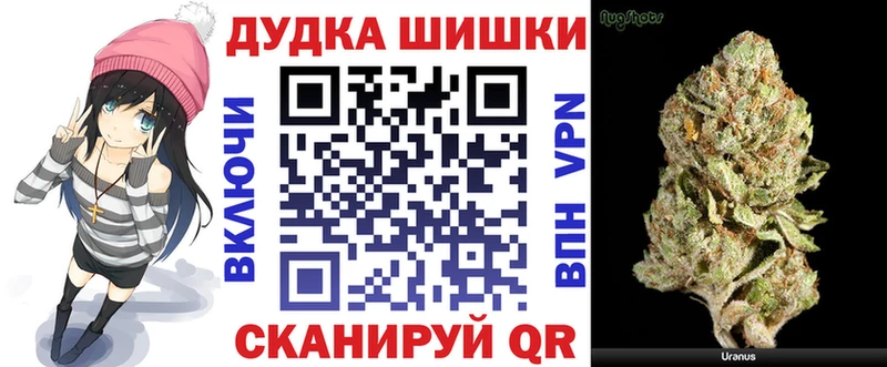 Виды наркотиков купить Заинск АМФЕТАМИН  Конопля  Alpha-PVP  ГАШИШ  Меф  Псилоцибиновые грибы  Cocaine 