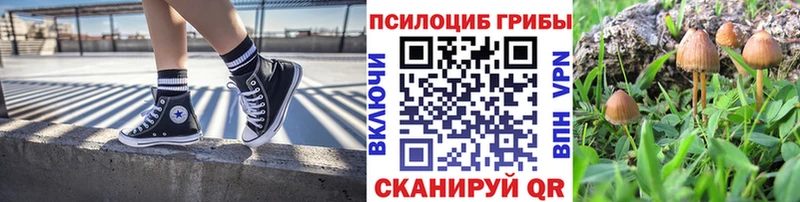 Псилоцибиновые грибы мухоморы  Заинск 